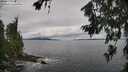 ./images/koeye/fitz-hugh/20260711/fitz-hugh20260711_103001M.jpg
