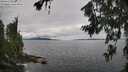 ./images/koeye/fitz-hugh/20260711/fitz-hugh20260711_104001M.jpg