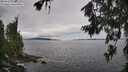 ./images/koeye/fitz-hugh/20260711/fitz-hugh20260711_104501M.jpg