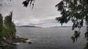 ./images/koeye/fitz-hugh/20260711/fitz-hugh20260711_105001M.jpg