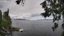 ./images/koeye/fitz-hugh/20260711/fitz-hugh20260711_105501M.jpg