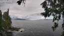 ./images/koeye/fitz-hugh/20260711/fitz-hugh20260711_110501M.jpg