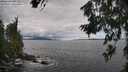 ./images/koeye/fitz-hugh/20260711/fitz-hugh20260711_111001M.jpg