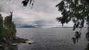 ./images/koeye/fitz-hugh/20260711/fitz-hugh20260711_111501M.jpg