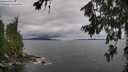 ./images/koeye/fitz-hugh/20260711/fitz-hugh20260711_113501M.jpg