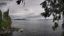./images/koeye/fitz-hugh/20260711/fitz-hugh20260711_115002M.jpg