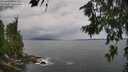 ./images/koeye/fitz-hugh/20260711/fitz-hugh20260711_131002M.jpg