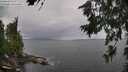 ./images/koeye/fitz-hugh/20260711/fitz-hugh20260711_133501M.jpg