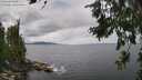 ./images/koeye/fitz-hugh/20260711/fitz-hugh20260711_140001M.jpg