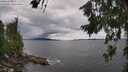 ./images/koeye/fitz-hugh/20260711/fitz-hugh20260711_143002M.jpg