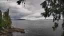./images/koeye/fitz-hugh/20260711/fitz-hugh20260711_145501M.jpg