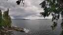 ./images/koeye/fitz-hugh/20260711/fitz-hugh20260711_150001M.jpg