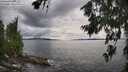 ./images/koeye/fitz-hugh/20260711/fitz-hugh20260711_164001M.jpg