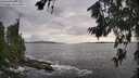 ./images/koeye/fitz-hugh/20260711/fitz-hugh20260711_183002M.jpg