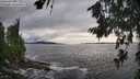 ./images/koeye/fitz-hugh/20260711/fitz-hugh20260711_184501M.jpg