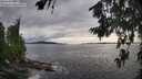 ./images/koeye/fitz-hugh/20260711/fitz-hugh20260711_185001M.jpg
