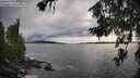 ./images/koeye/fitz-hugh/20260711/fitz-hugh20260711_191002M.jpg