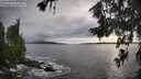 ./images/koeye/fitz-hugh/20260711/fitz-hugh20260711_191501M.jpg