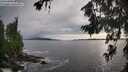 ./images/koeye/fitz-hugh/20260711/fitz-hugh20260711_192002M.jpg