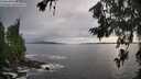 ./images/koeye/fitz-hugh/20260711/fitz-hugh20260711_192501M.jpg