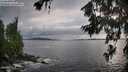 ./images/koeye/fitz-hugh/20260711/fitz-hugh20260711_194501M.jpg