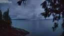 ./images/koeye/fitz-hugh/20260712/fitz-hugh20260712_045501M.jpg