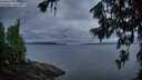 ./images/koeye/fitz-hugh/20260712/fitz-hugh20260712_050501M.jpg
