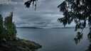 ./images/koeye/fitz-hugh/20260712/fitz-hugh20260712_052001M.jpg