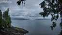 ./images/koeye/fitz-hugh/20260712/fitz-hugh20260712_053501M.jpg