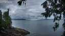 ./images/koeye/fitz-hugh/20260712/fitz-hugh20260712_054501M.jpg