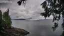 ./images/koeye/fitz-hugh/20260712/fitz-hugh20260712_064501M.jpg
