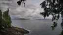 ./images/koeye/fitz-hugh/20260712/fitz-hugh20260712_065001M.jpg