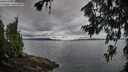 ./images/koeye/fitz-hugh/20260712/fitz-hugh20260712_072501M.jpg