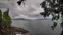 ./images/koeye/fitz-hugh/20260712/fitz-hugh20260712_075501M.jpg
