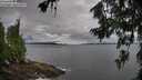 ./images/koeye/fitz-hugh/20260712/fitz-hugh20260712_080001M.jpg