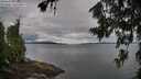 ./images/koeye/fitz-hugh/20260712/fitz-hugh20260712_081001M.jpg
