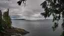 ./images/koeye/fitz-hugh/20260712/fitz-hugh20260712_081501M.jpg
