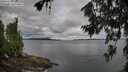 ./images/koeye/fitz-hugh/20260712/fitz-hugh20260712_082001M.jpg