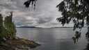 ./images/koeye/fitz-hugh/20260712/fitz-hugh20260712_082501M.jpg