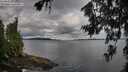 ./images/koeye/fitz-hugh/20260712/fitz-hugh20260712_083002M.jpg