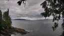./images/koeye/fitz-hugh/20260712/fitz-hugh20260712_084501M.jpg