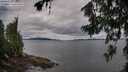 ./images/koeye/fitz-hugh/20260712/fitz-hugh20260712_085001M.jpg