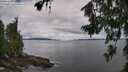./images/koeye/fitz-hugh/20260712/fitz-hugh20260712_090002M.jpg