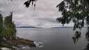 ./images/koeye/fitz-hugh/20260712/fitz-hugh20260712_090501M.jpg