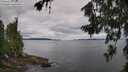 ./images/koeye/fitz-hugh/20260712/fitz-hugh20260712_091001M.jpg