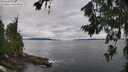 ./images/koeye/fitz-hugh/20260712/fitz-hugh20260712_092501M.jpg