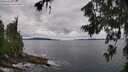 ./images/koeye/fitz-hugh/20260712/fitz-hugh20260712_093501M.jpg