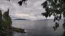 ./images/koeye/fitz-hugh/20260712/fitz-hugh20260712_094501M.jpg