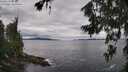 ./images/koeye/fitz-hugh/20260712/fitz-hugh20260712_095001M.jpg
