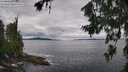 ./images/koeye/fitz-hugh/20260712/fitz-hugh20260712_095501M.jpg
